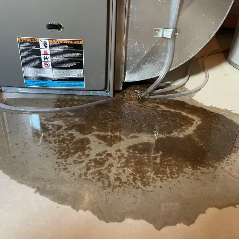 Appliance Leak Cleanup in Inez, KY